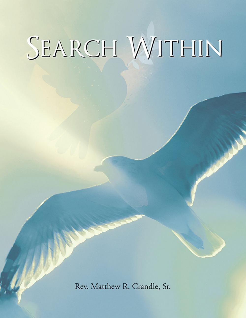 Big bigCover of Search Within