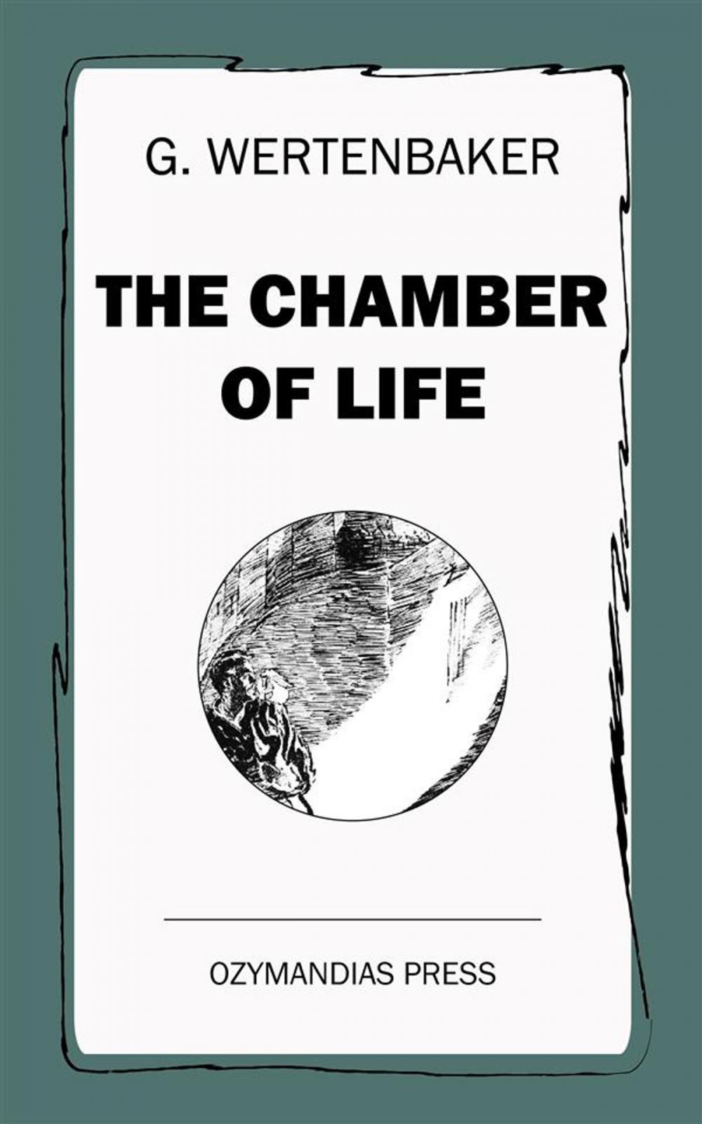 Big bigCover of The Chamber of Life