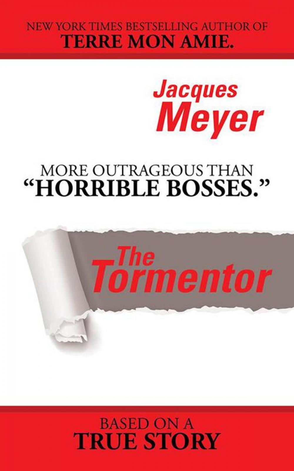 Big bigCover of The Tormentor