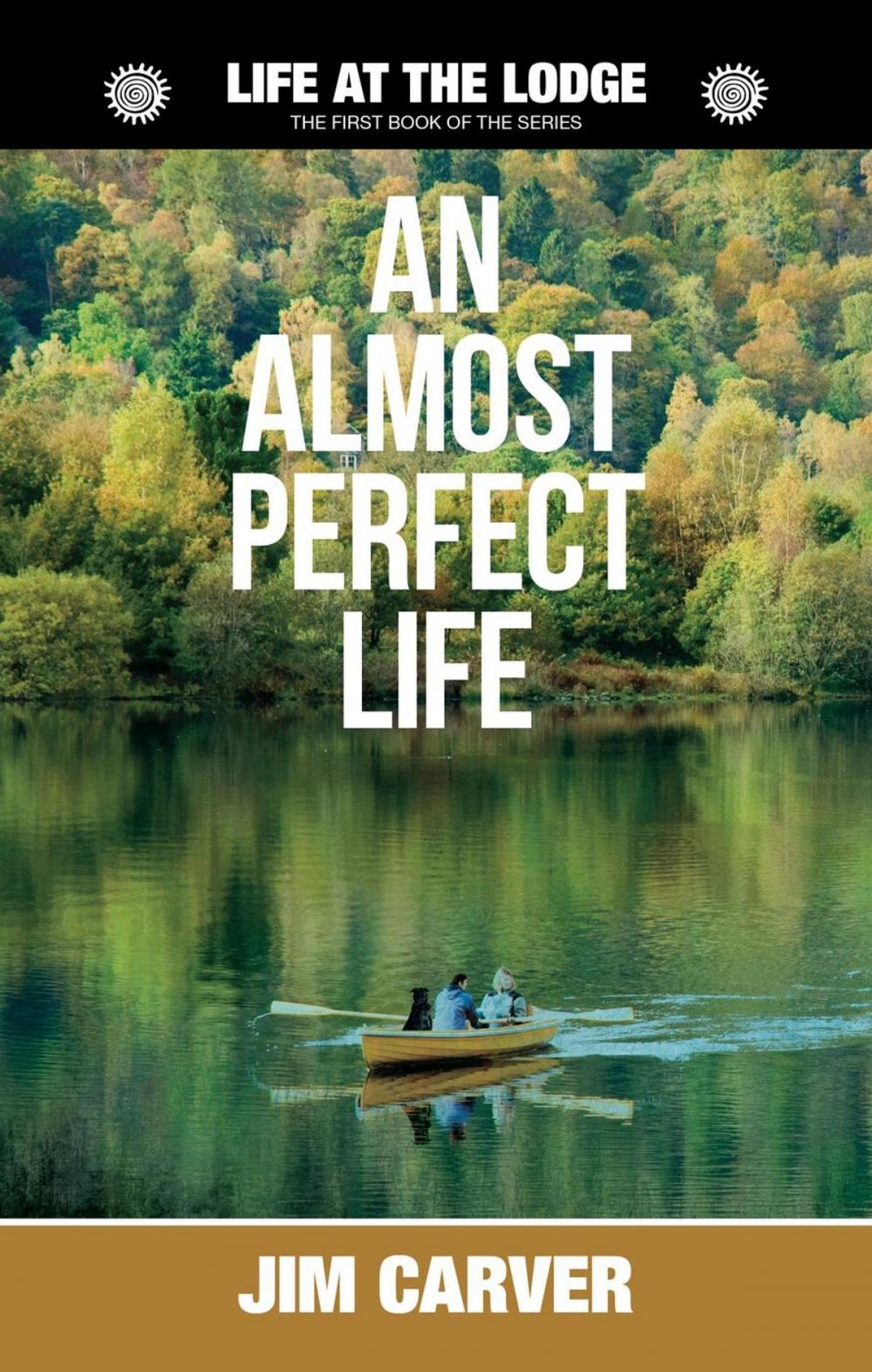 Big bigCover of An Almost Perfect Life