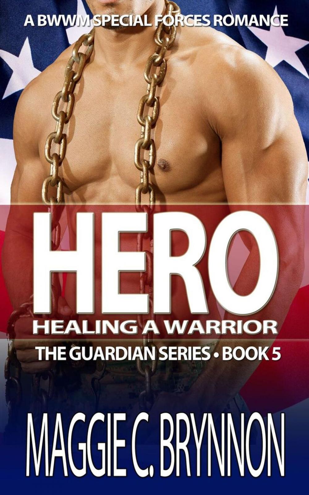 Big bigCover of Hero: Healing a Warrior, Book 5