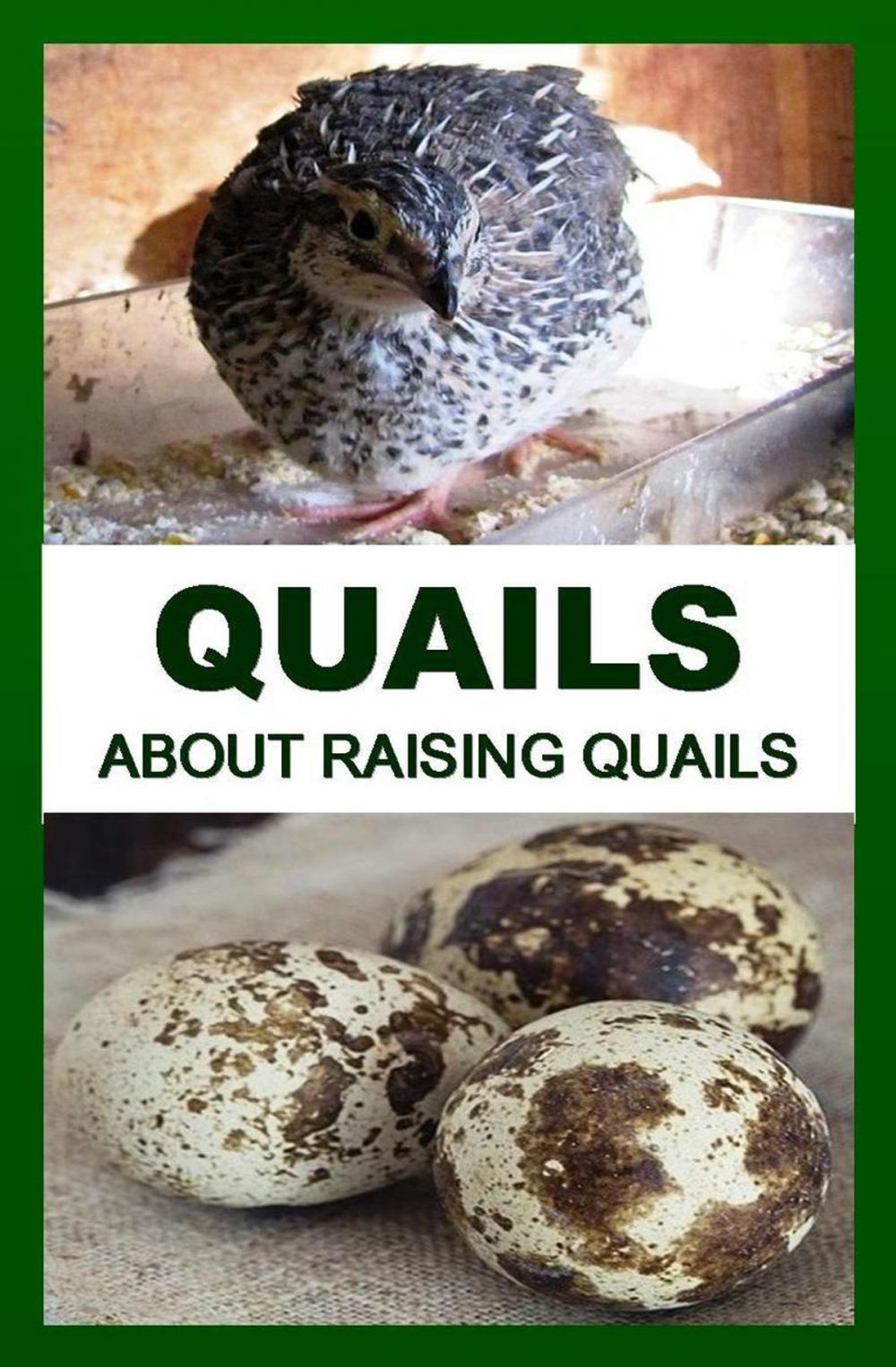 Big bigCover of QUAILS: About Raising Quails