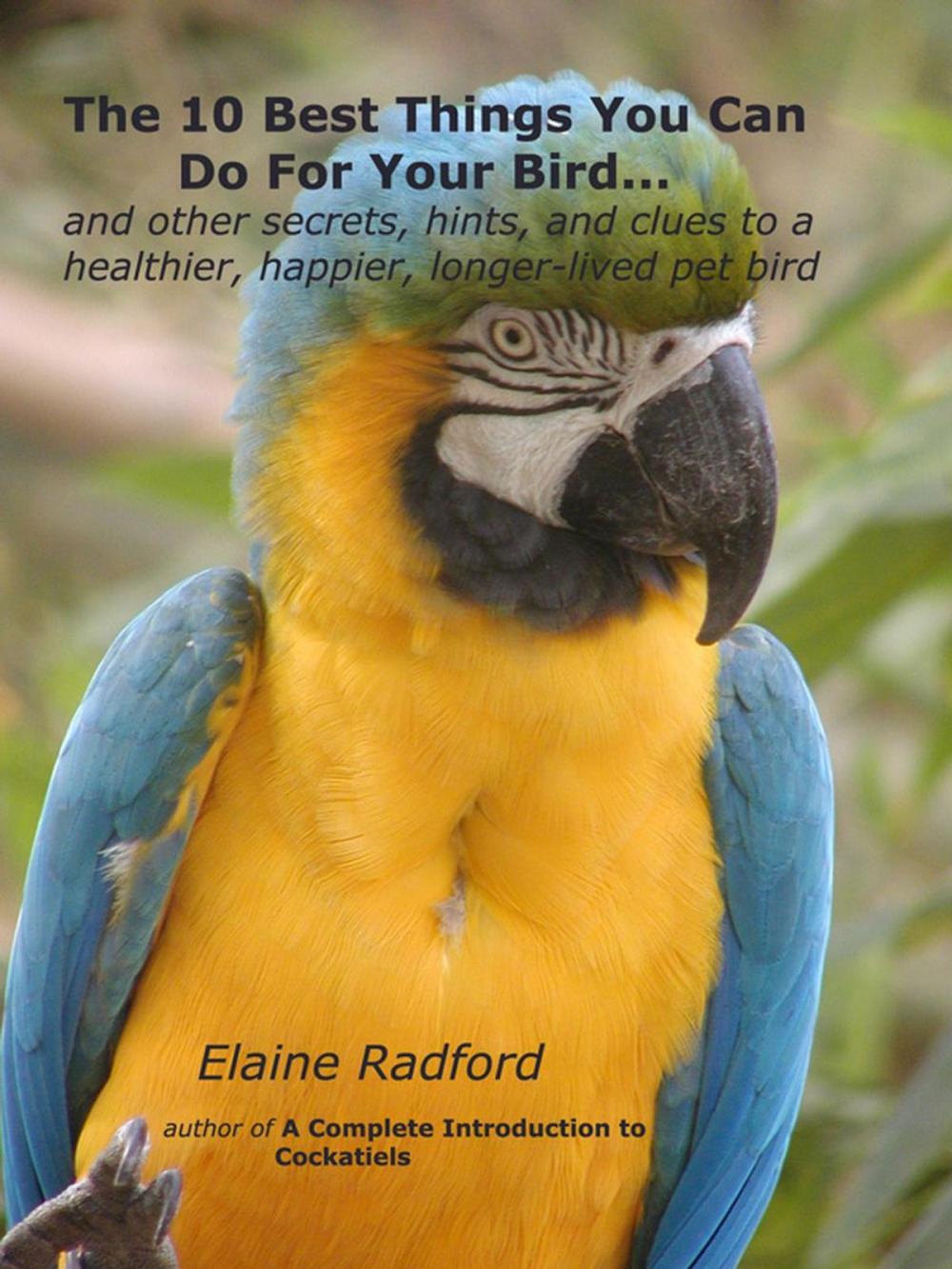 Big bigCover of The 10 Best Things You Can Do For Your Bird