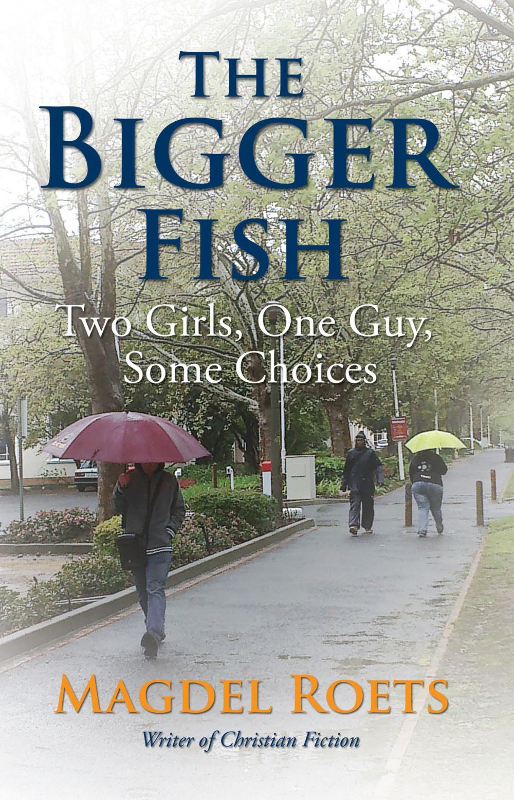 Big bigCover of The Bigger Fish