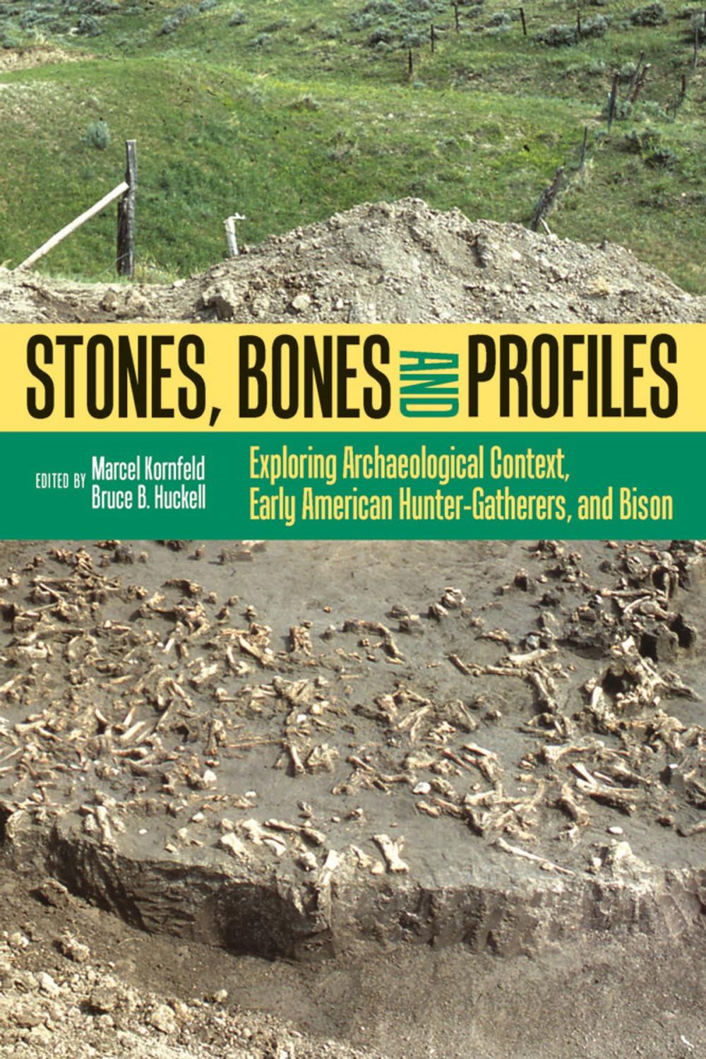 Big bigCover of Stones, Bones, and Profiles