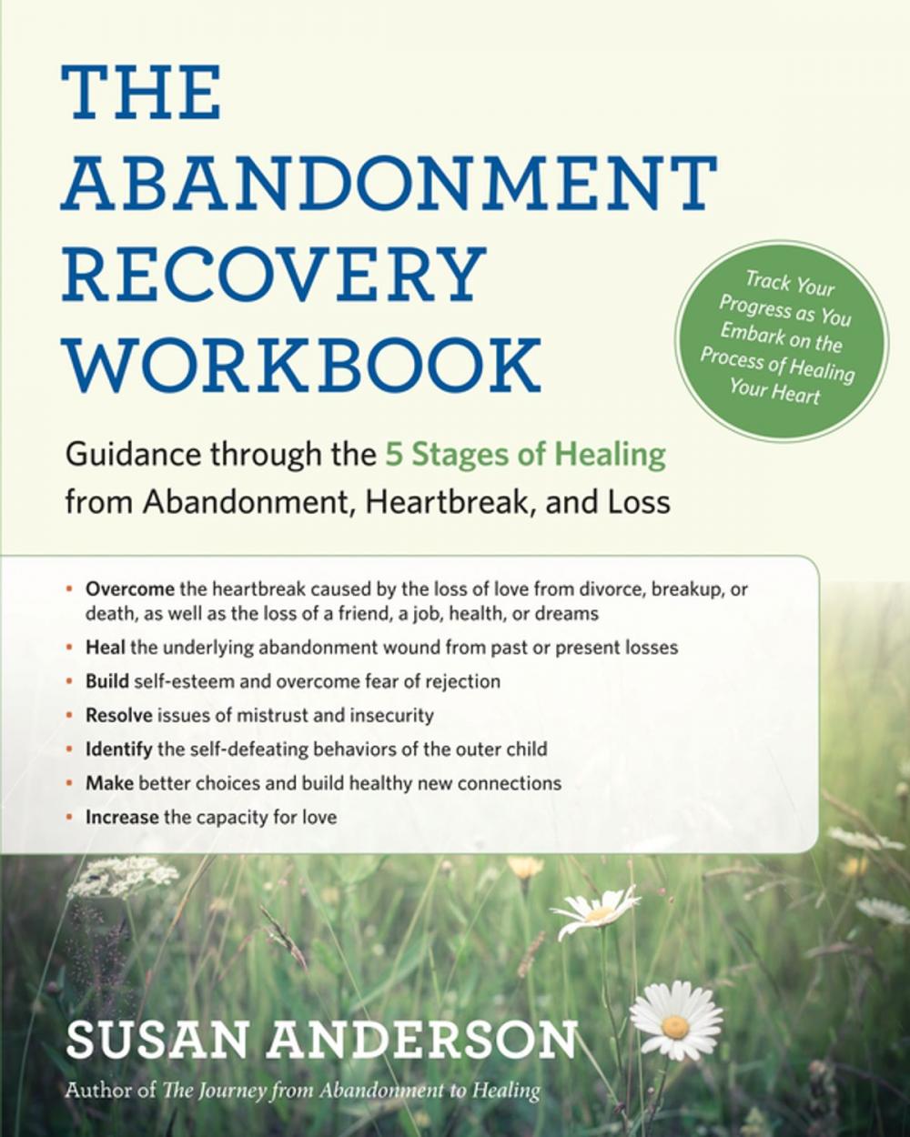 Big bigCover of The Abandonment Recovery Workbook