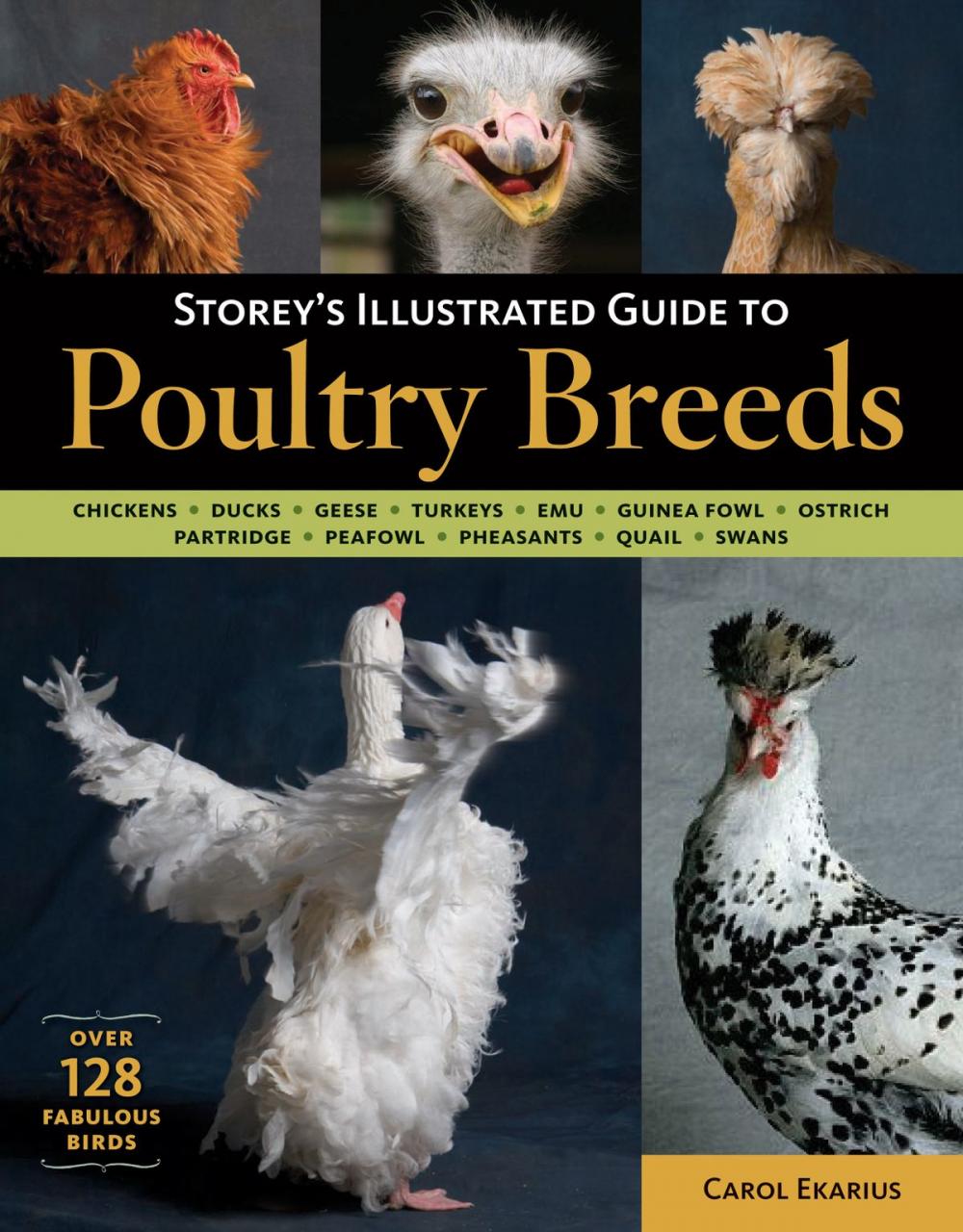 Big bigCover of Storey's Illustrated Guide to Poultry Breeds
