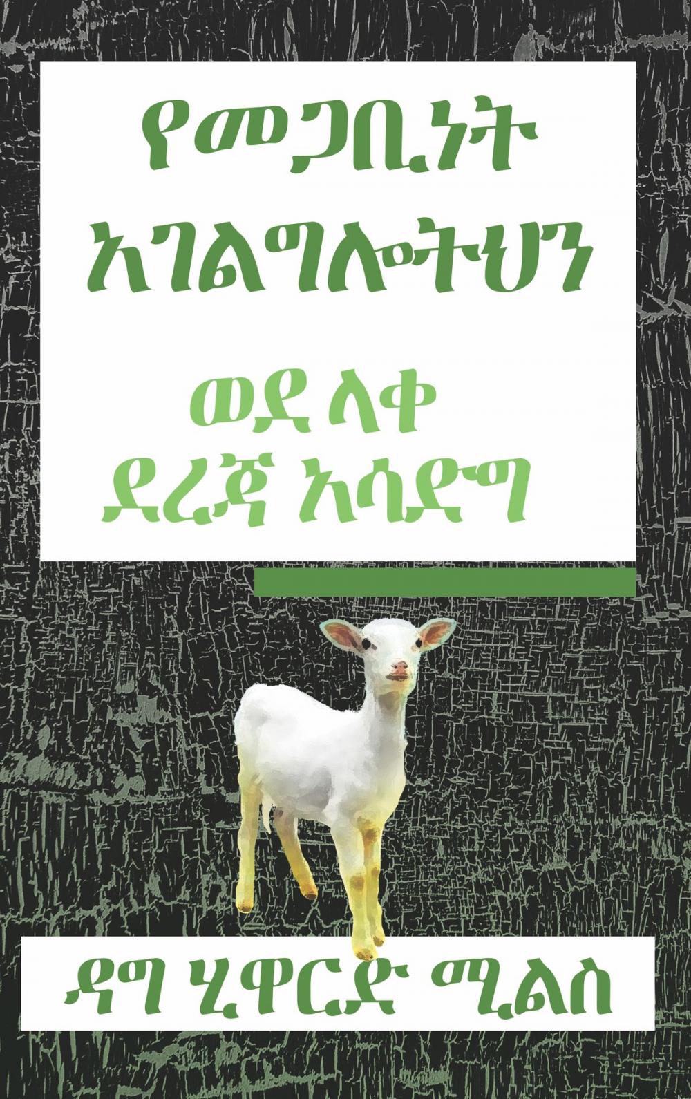 Big bigCover of የመጋቢነት አገልግሎትህን ወደ ላቀ ደረጃ አሳድግ