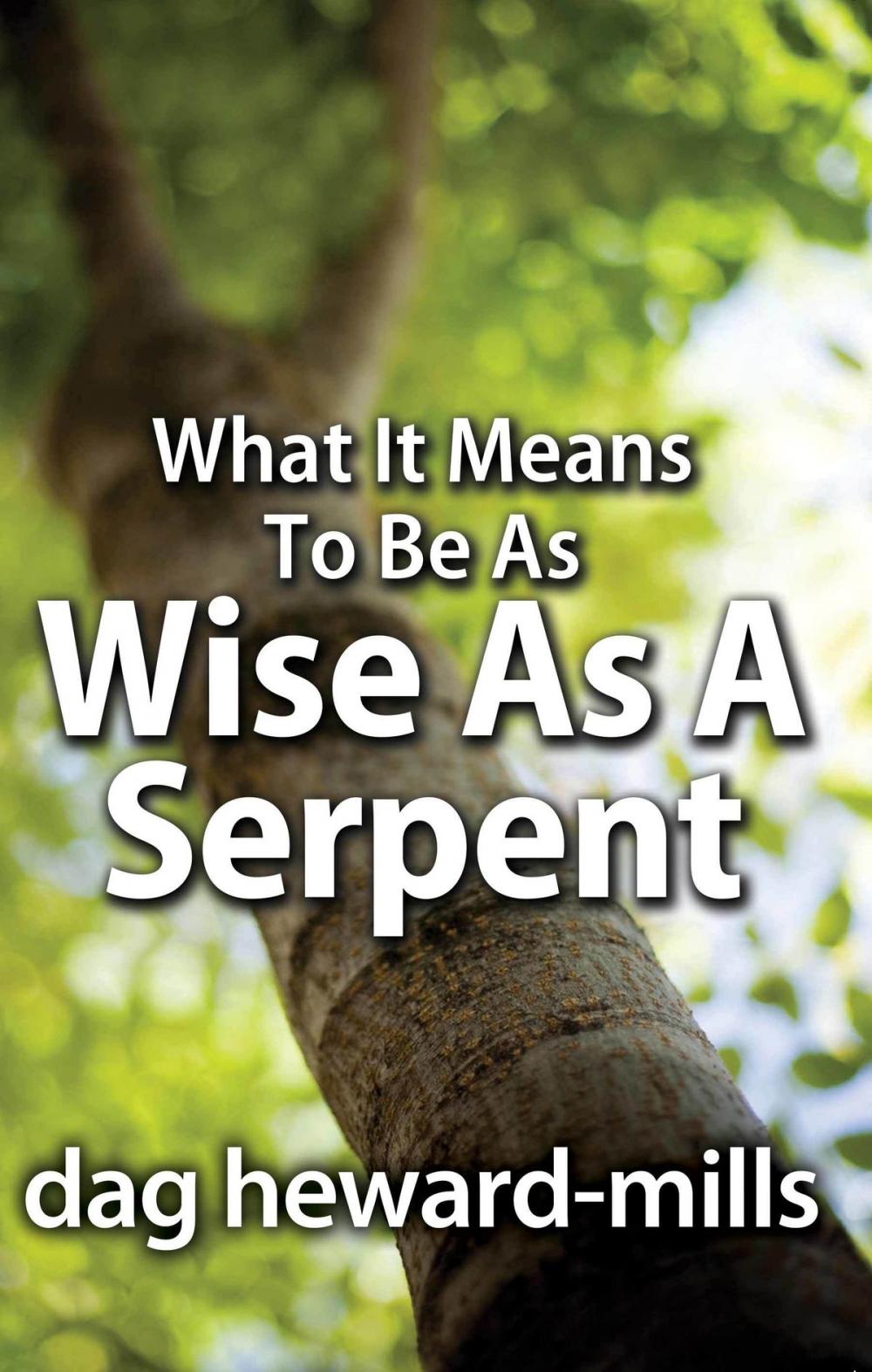 Big bigCover of What it Means to be as Wise as a Serpent