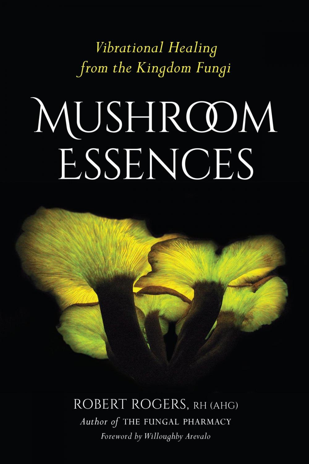 Big bigCover of Mushroom Essences
