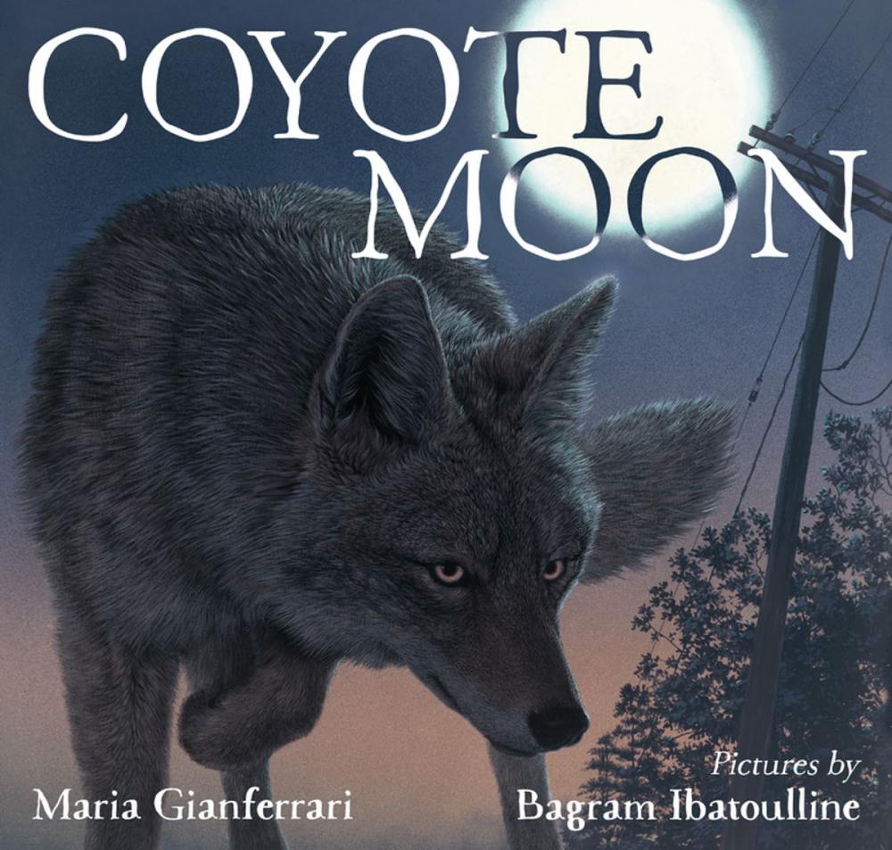 Big bigCover of Coyote Moon