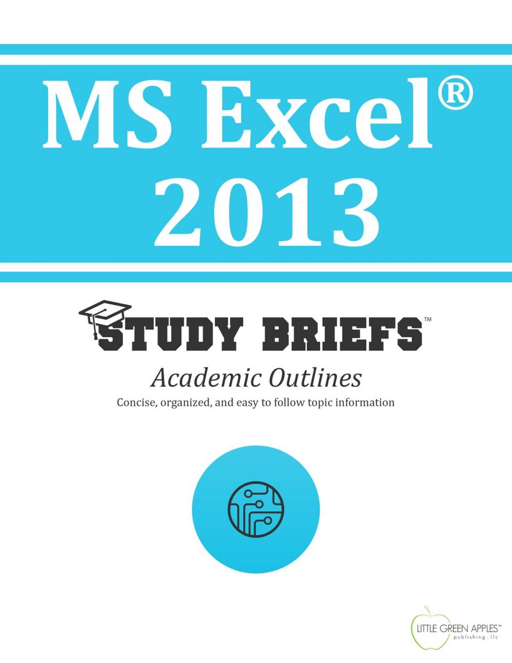 Big bigCover of MS Excel ® 2013