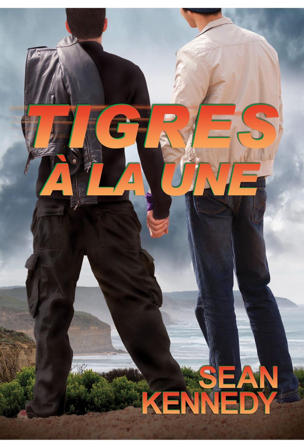 Big bigCover of Tigres à la Une