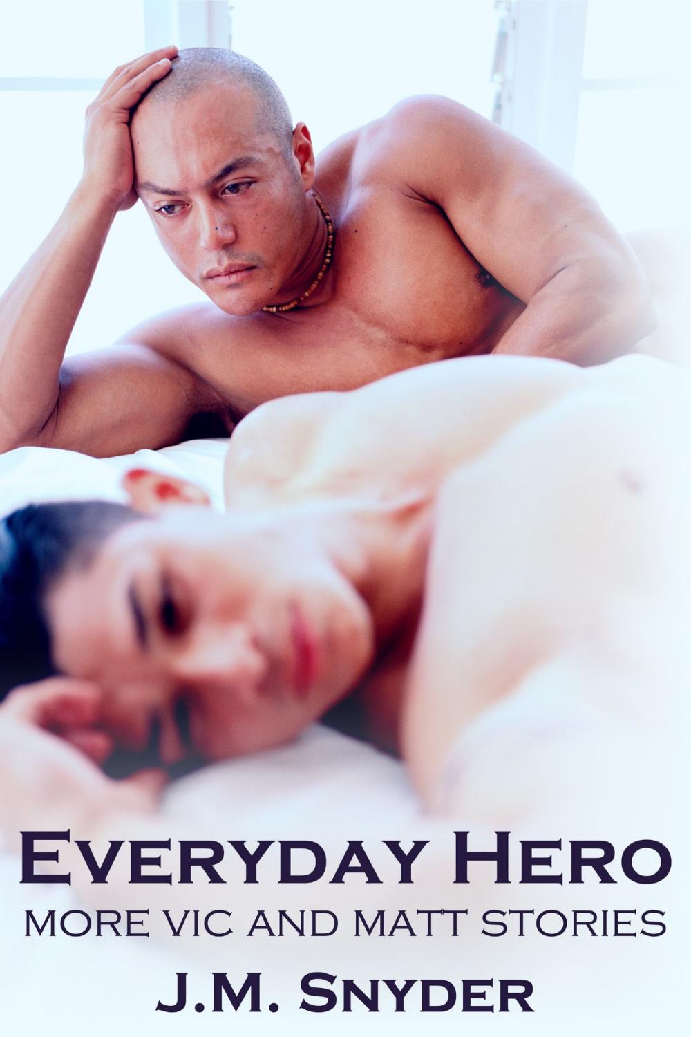 Big bigCover of Everyday Hero Box Set