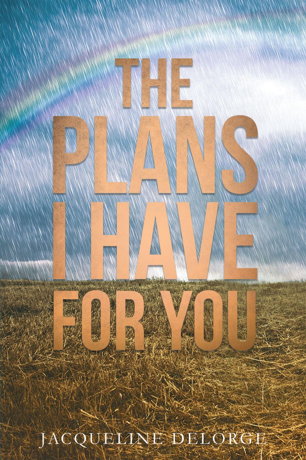 Big bigCover of The Plans I Have For You