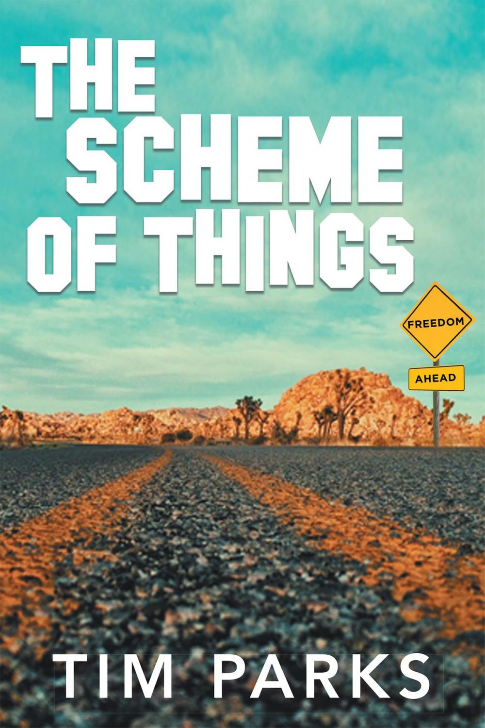 Big bigCover of The Scheme of Things