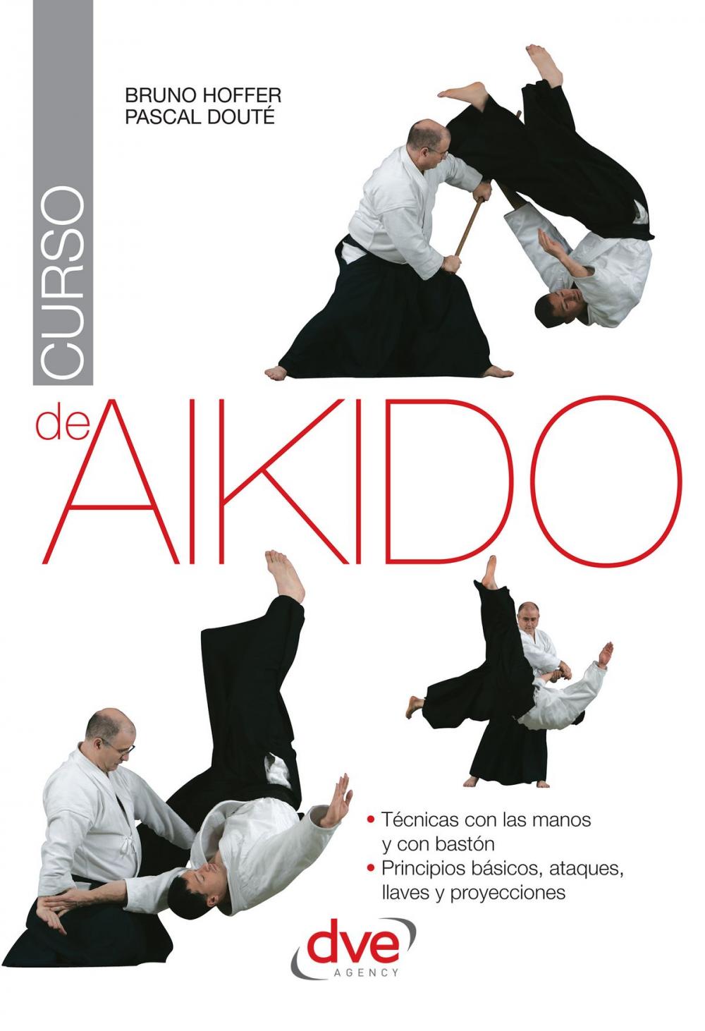 Big bigCover of Curso de aikido