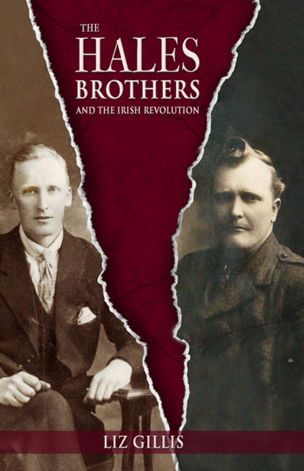 Big bigCover of The Hales Brothers and the Irish Revolution