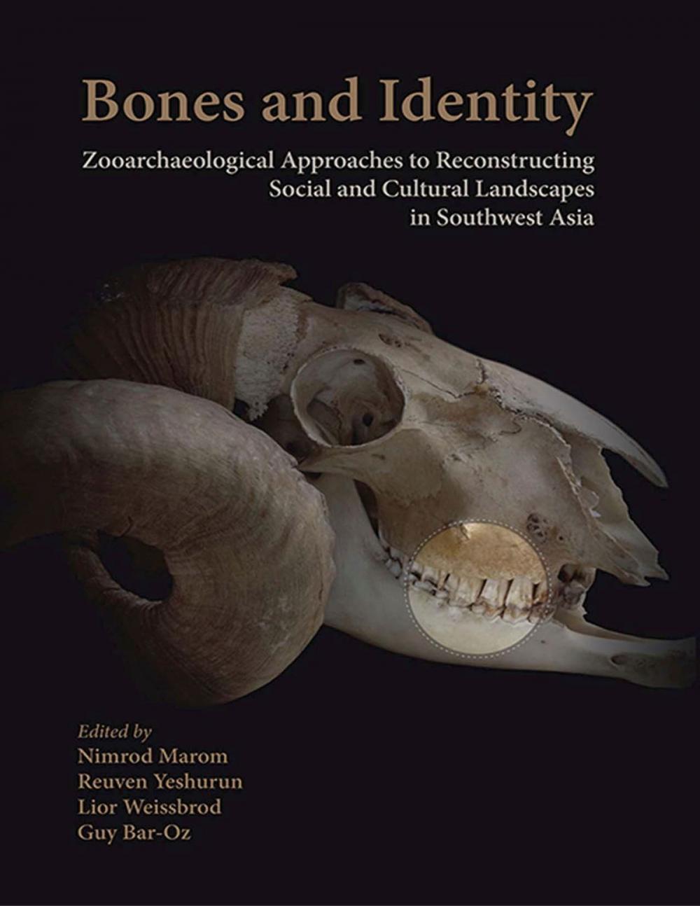 Big bigCover of Bones and Identity