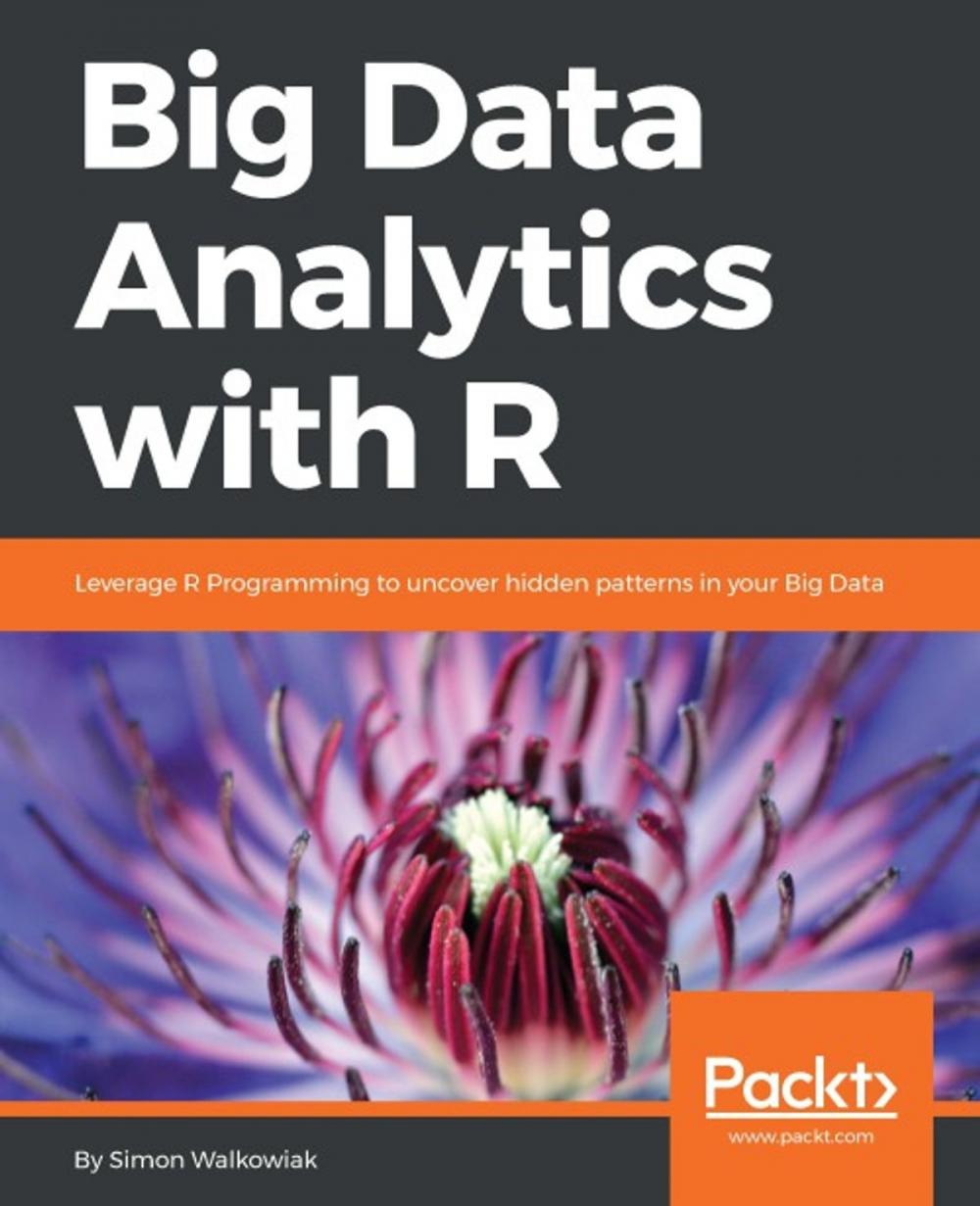 Big bigCover of Big Data Analytics with R