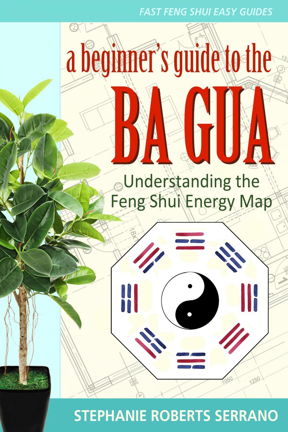 Big bigCover of A Beginner's Guide to the Ba Gua: Understanding the Feng Shui Energy Map