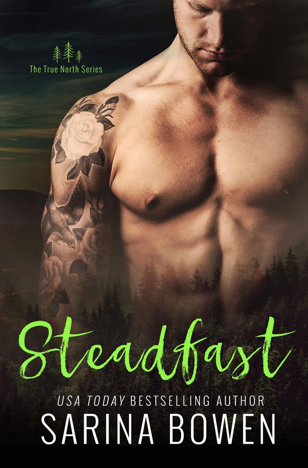 Big bigCover of Steadfast