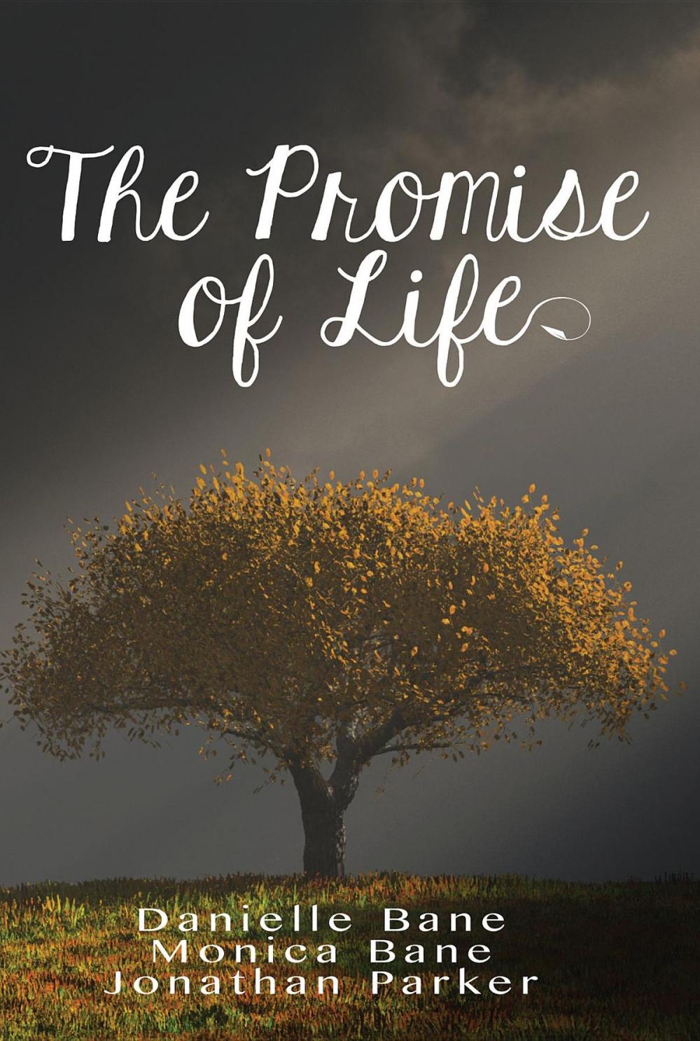 Big bigCover of The Promise of Life