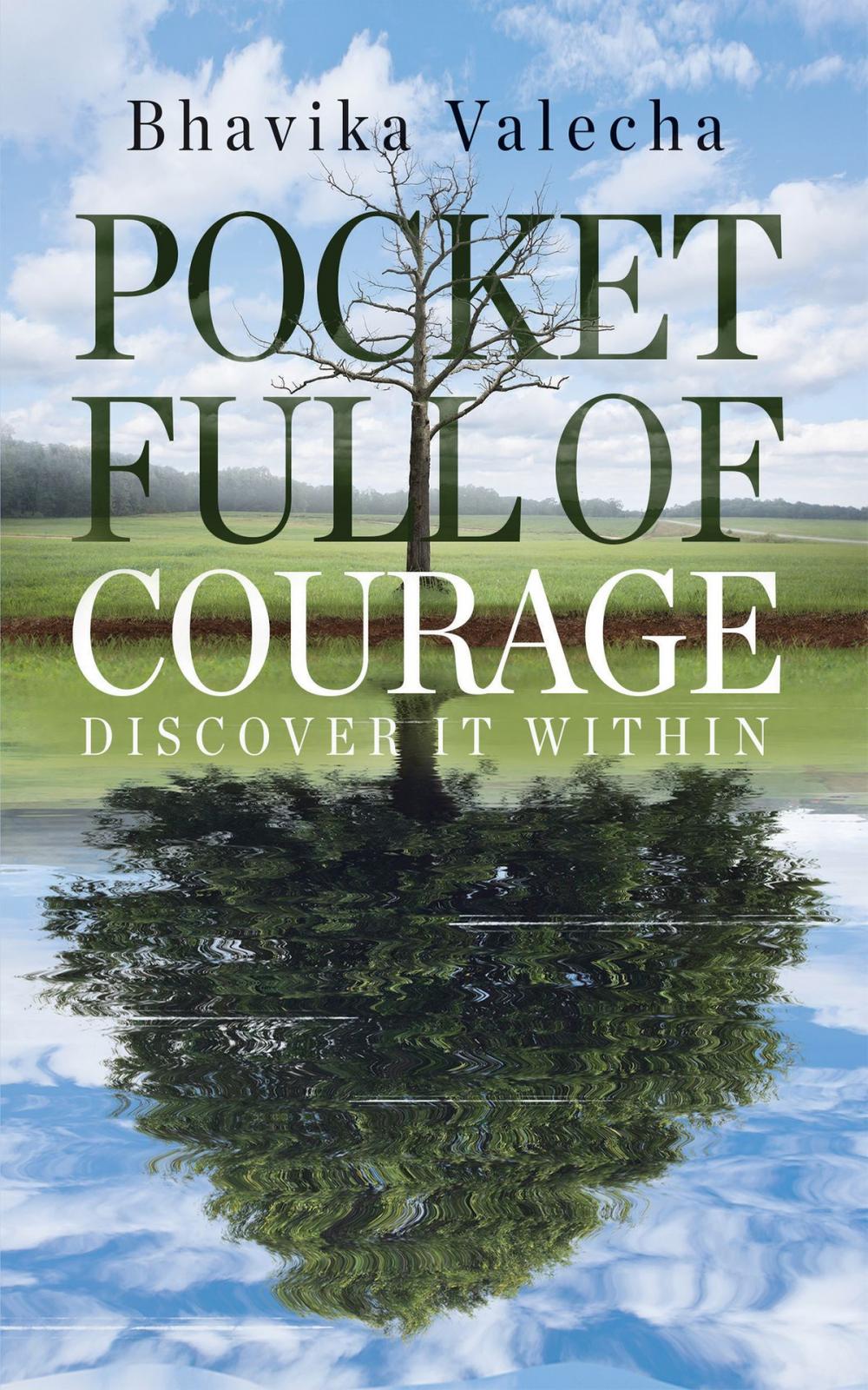 Big bigCover of Pocket Full of Courage