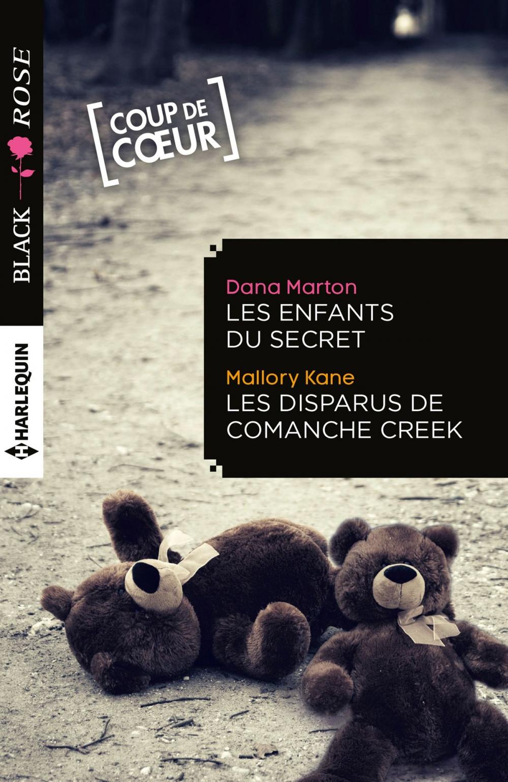 Big bigCover of Les enfants du secret - Les disparus de Comanche Creek