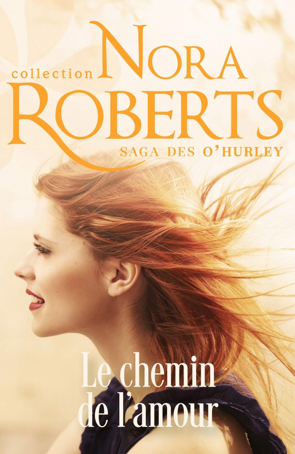 Big bigCover of Le chemin de l'amour