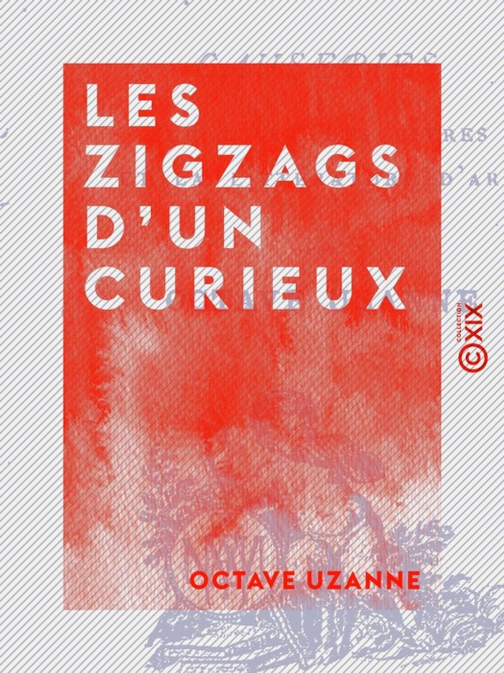 Big bigCover of Les Zigzags d'un curieux