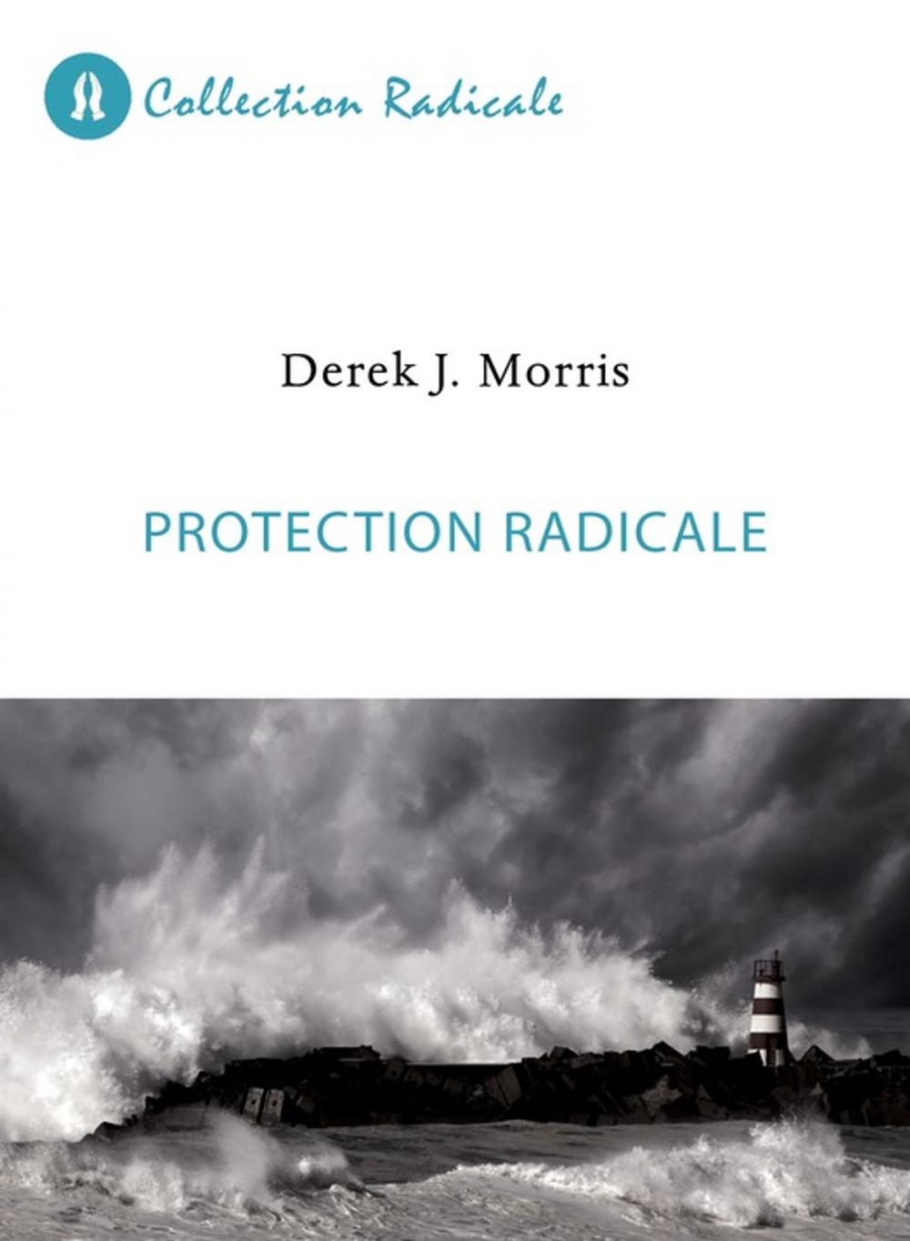 Big bigCover of Protection radicale