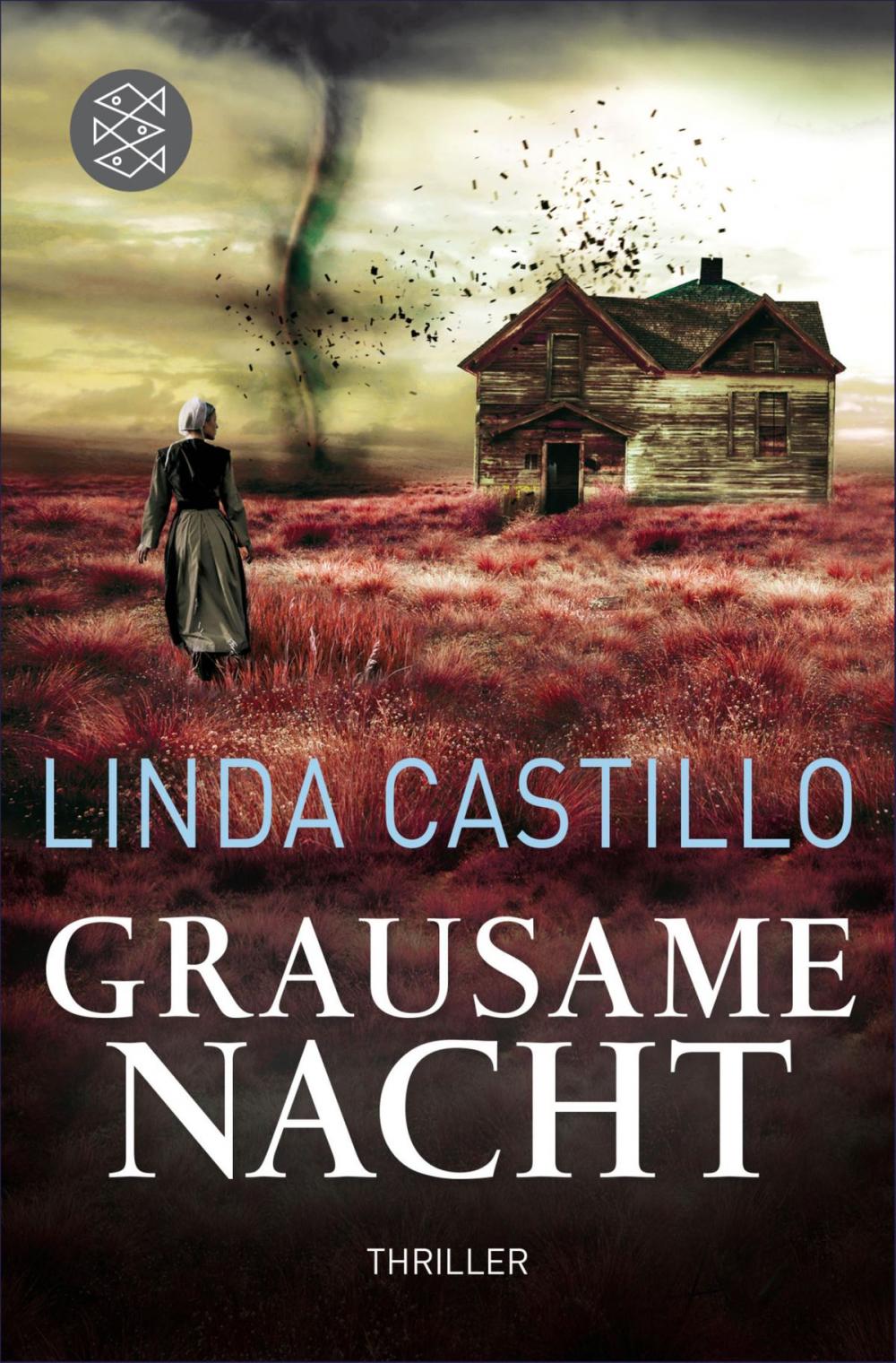 Big bigCover of Grausame Nacht