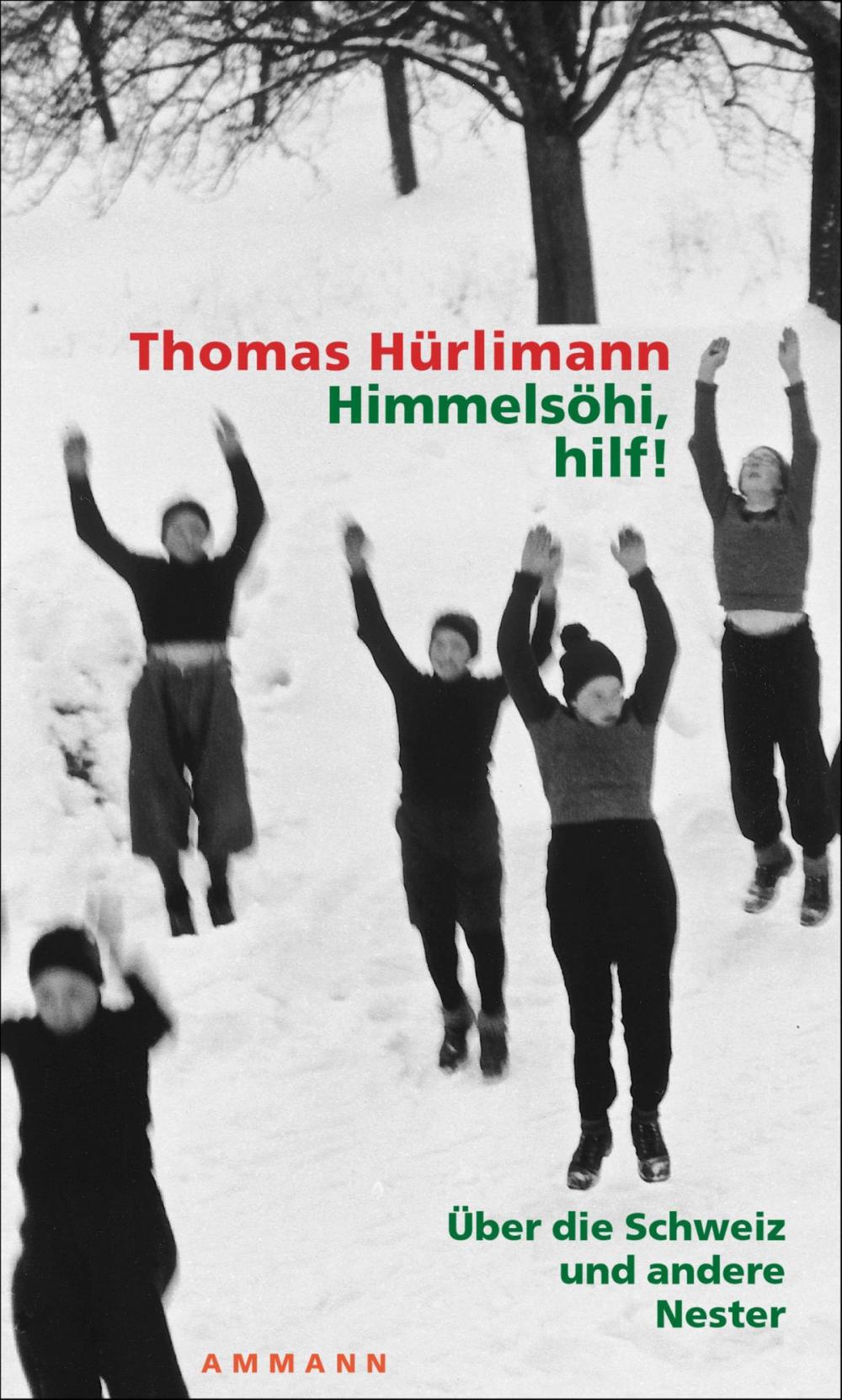 Big bigCover of Himmelsöhi, hilf!