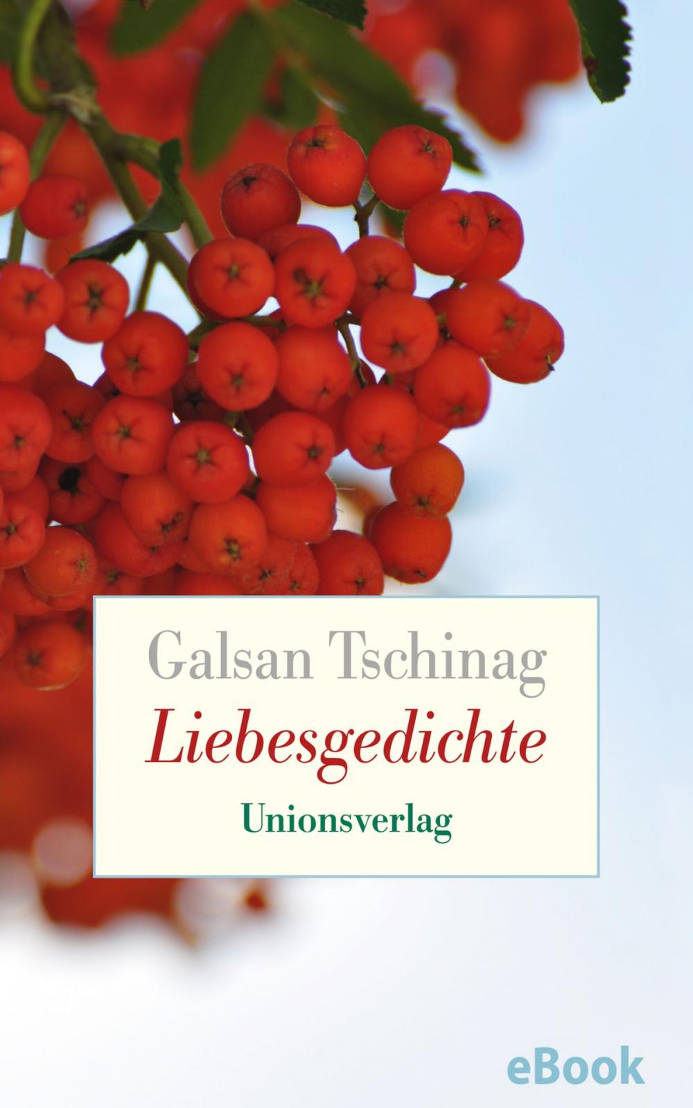 Big bigCover of Liebesgedichte