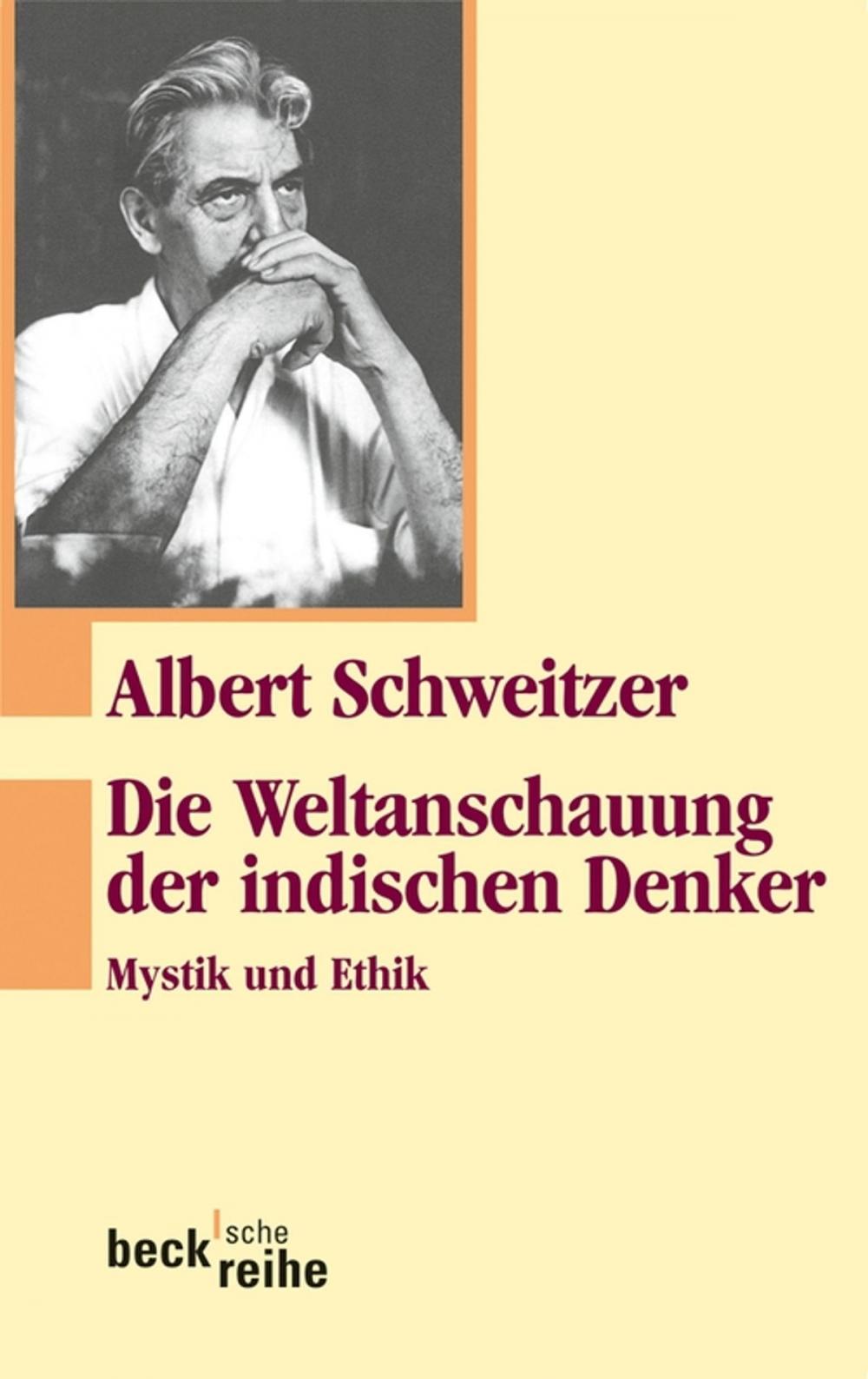 Big bigCover of Die Weltanschauung der indischen Denker