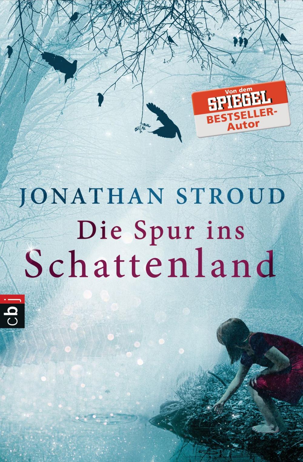 Big bigCover of Die Spur ins Schattenland