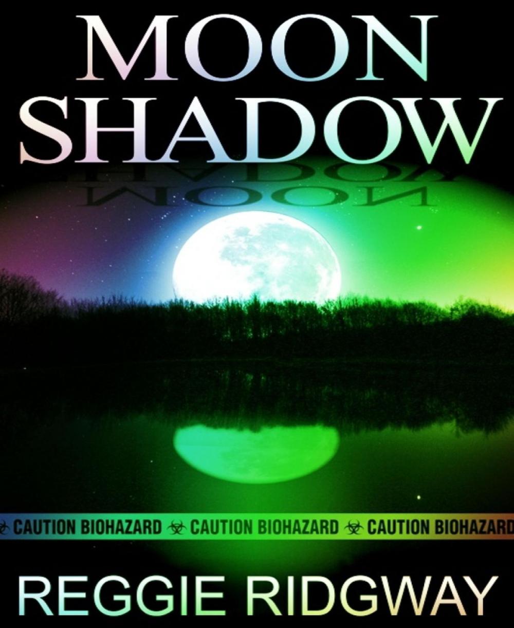 Big bigCover of Moon Shadow