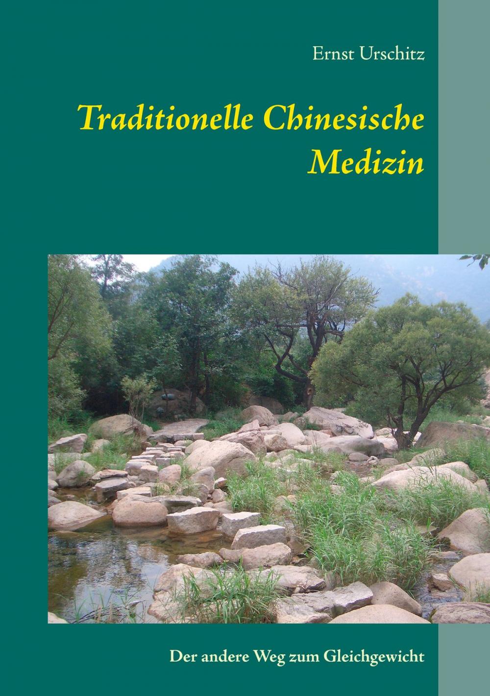 Big bigCover of Traditionelle Chinesische Medizin