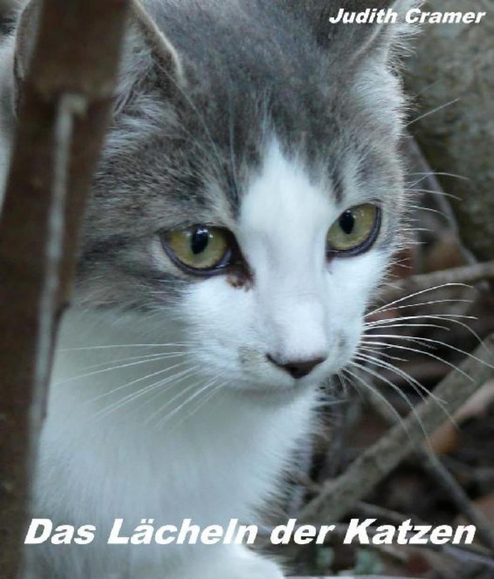 Big bigCover of Das Lächeln der Katzen