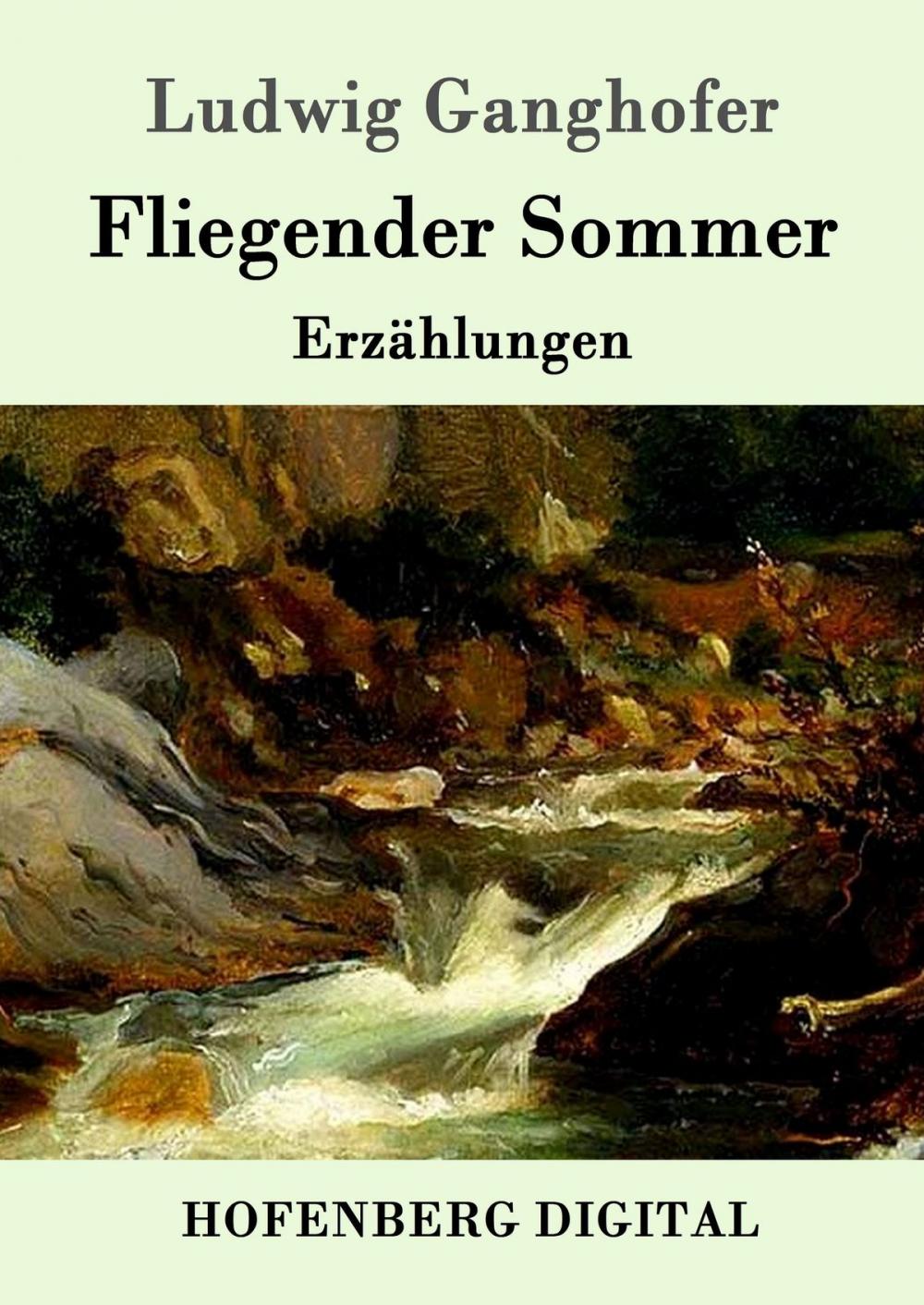 Big bigCover of Fliegender Sommer