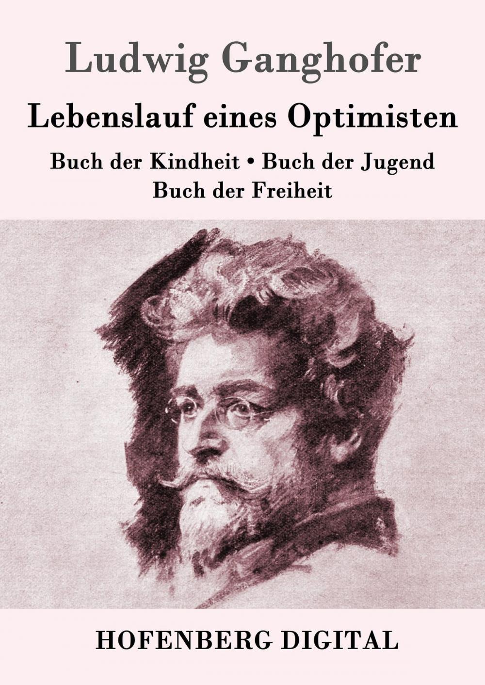 Big bigCover of Lebenslauf eines Optimisten