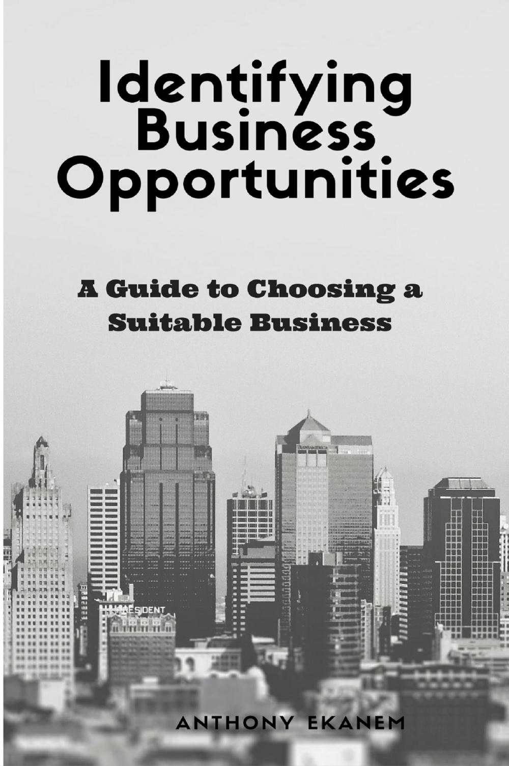 Big bigCover of Identifying Business Opportunities