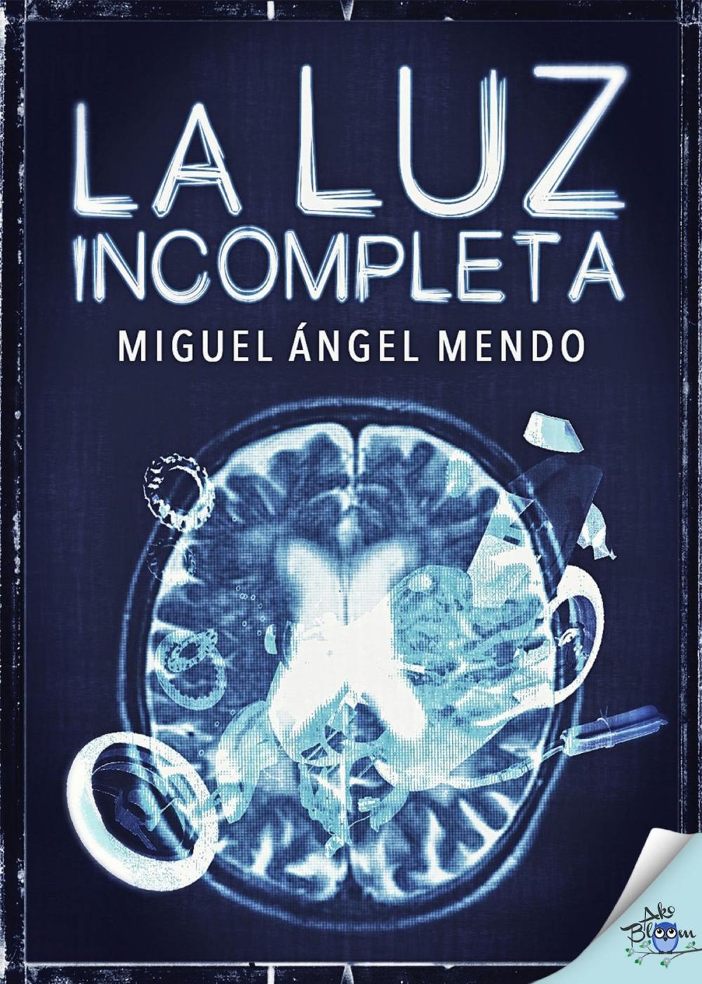 Big bigCover of La luz incompleta