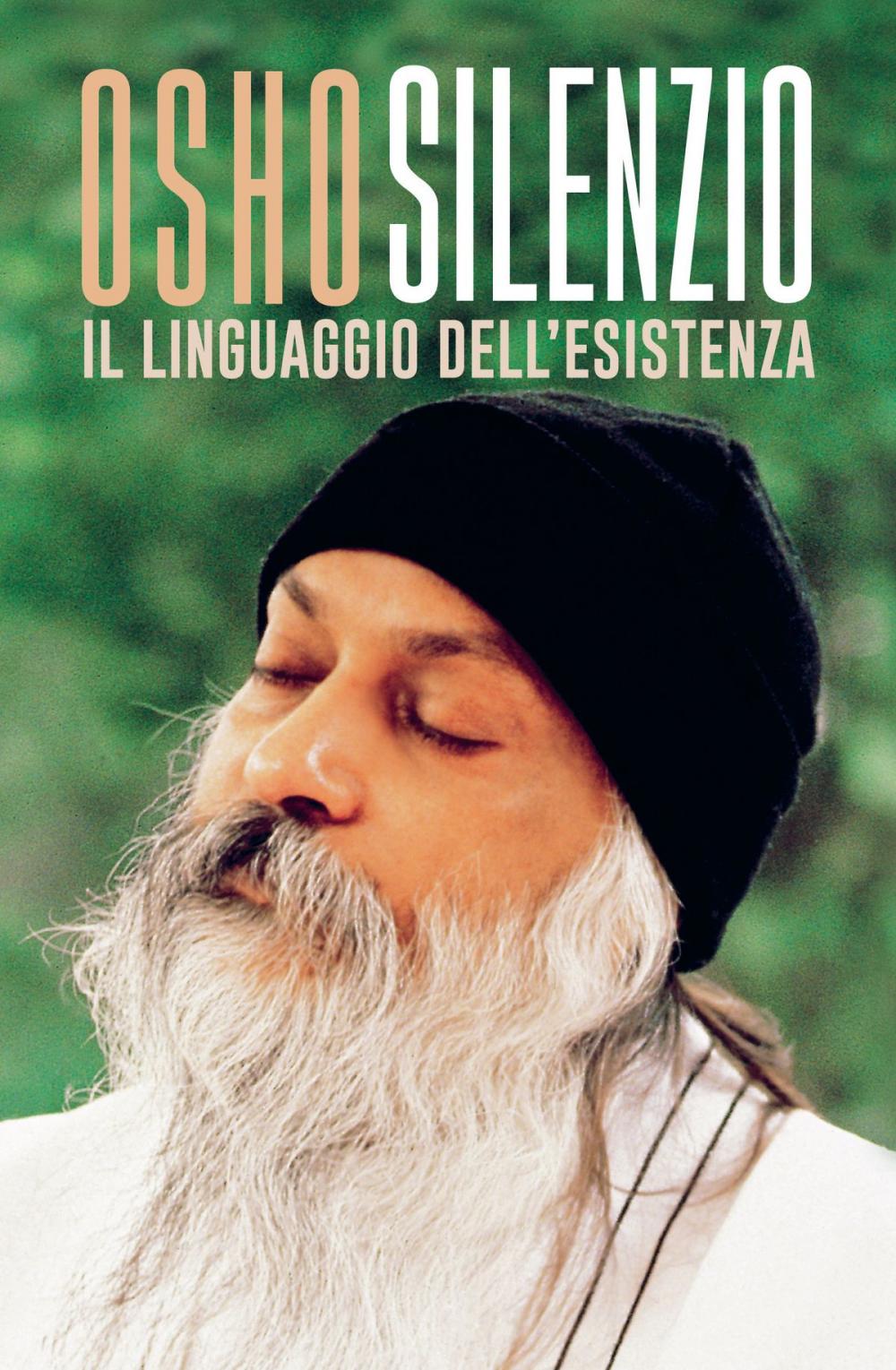 Big bigCover of Silenzio. Il linguaggio dell'esistenza