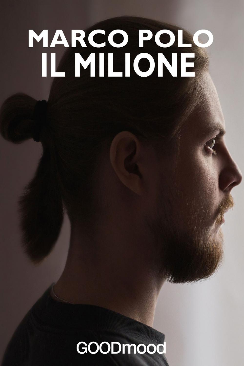 Big bigCover of Il Milione