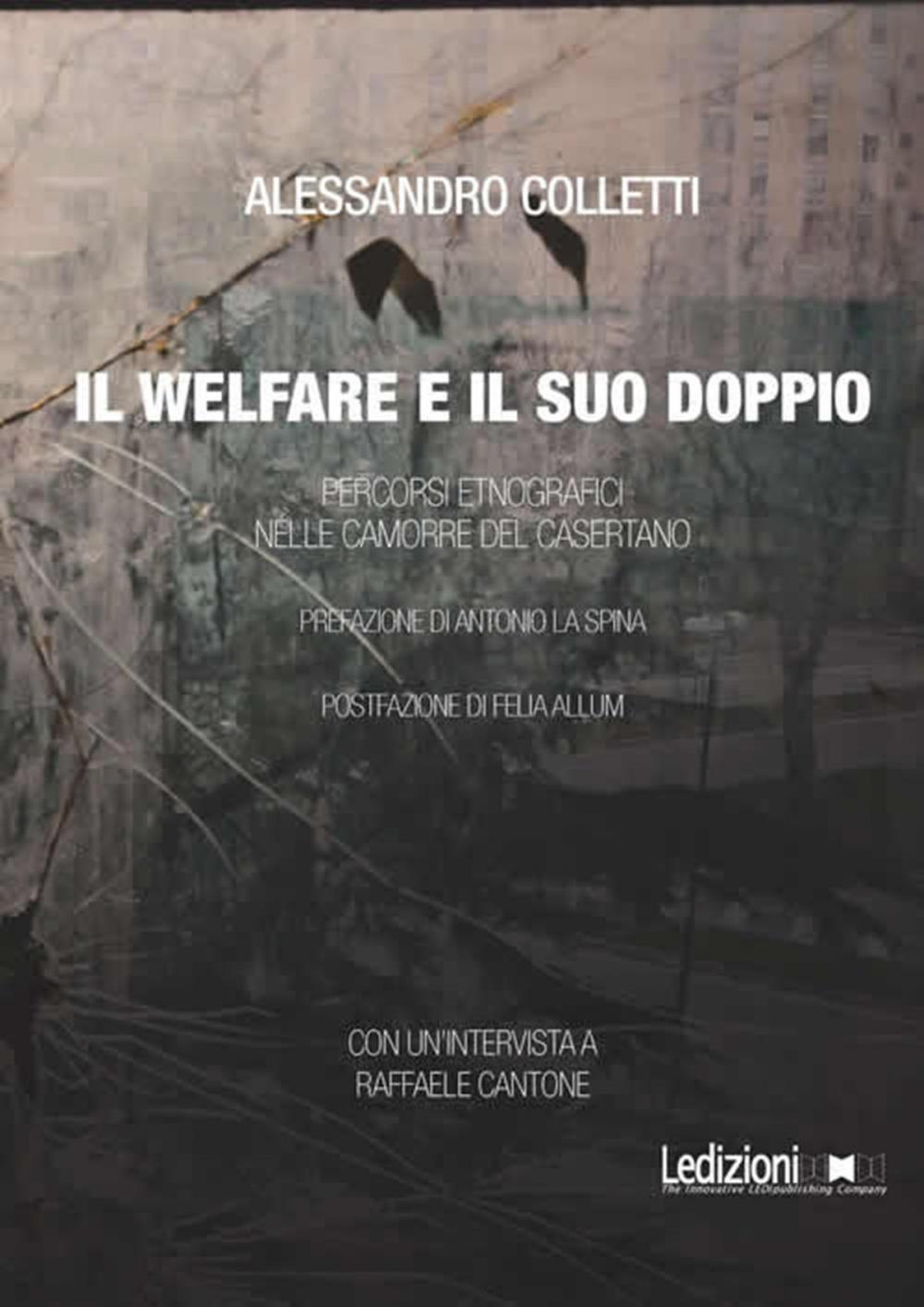 Big bigCover of Il welfare e il suo doppio