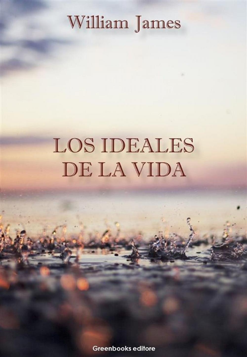 Big bigCover of Los ideales de la vida