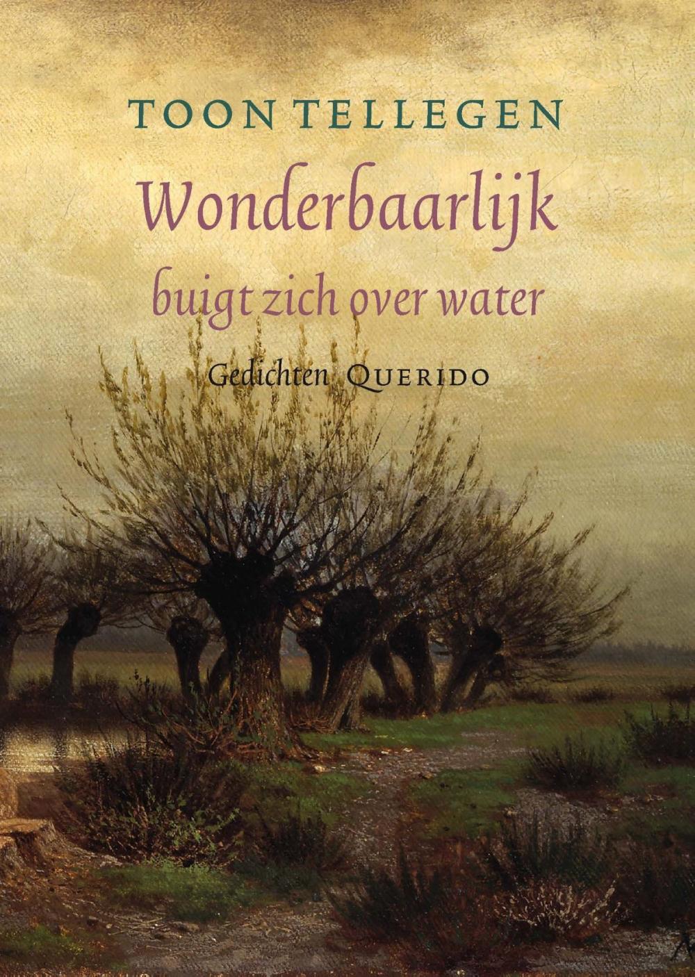 Big bigCover of Wonderbaarlijk buigt zich over water