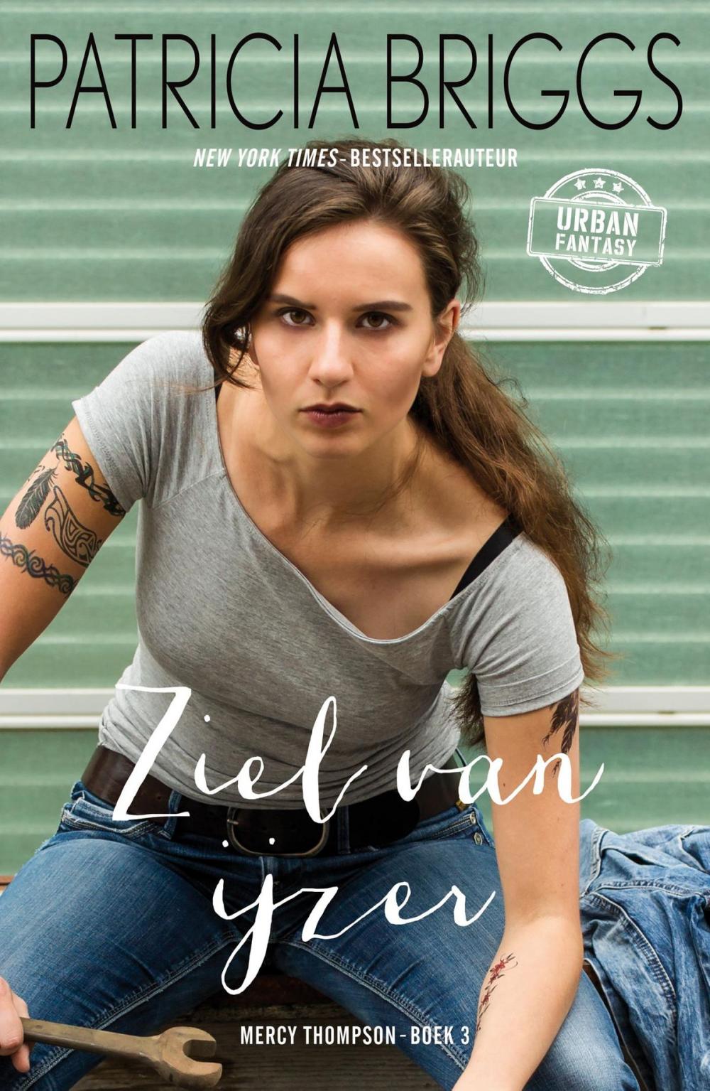 Big bigCover of Ziel van ijzer